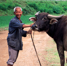 小型飼料顆粒機(jī),農(nóng)民圓夢(mèng)！